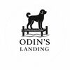 odinslanding